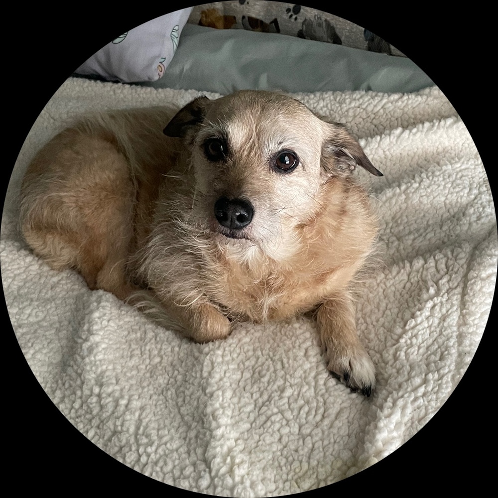 Meet your Posher, Kiki